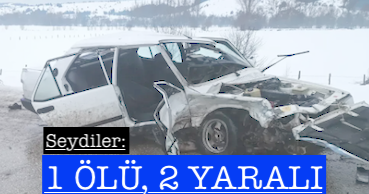<center> Seydiler: </center><center><font color=’blue’>1 ÖLÜ, 2 YARALI </font></center>