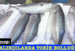 <center> Sinop: </center><center><font color=’blue’> BALIKÇILARDA TORİK BOLLUĞU </font></center>