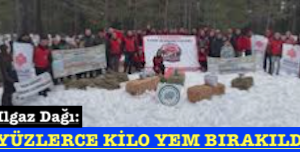 <center> Ilgaz Dağı: </center><center><font color=’blue’> YÜZLERCE KİLO YEM BIRAKILDI </font></center>