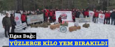 <center> Ilgaz Dağı: </center><center><font color=’blue’> YÜZLERCE KİLO YEM BIRAKILDI </font></center>