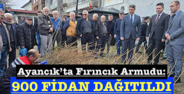 <center> Ayancık’ta Fırıncık Armudu: </center><center><font color=’blue’>900 FİDAN DAĞITILDI </font></center>