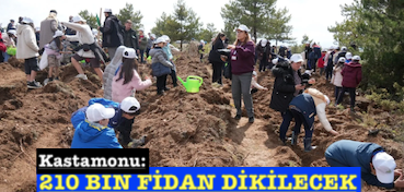 <center> Kastamonu:</center><center><font color=’blue’>210 BİN FİDAN DİKİLECEK </font></center>
