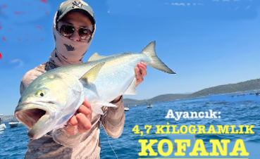 <center> Ayancık: </center><center><font color=’blue’> 4,KG’LIK KOFANA </font></center>