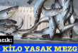 <center> Ayancık: </center><center><font color=’blue’>300 KİLO YASAK MEZGİT! </font></center>