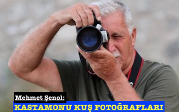 <center> Mehmet Şenol: </center><center><font color=’blue’> KASTAMONU KUŞ FOTOĞRAFLARI </font></center>
