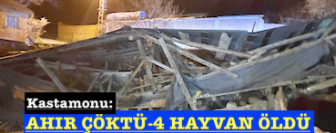 <center> Kastamonu: </center><center><font color=’blue’> AHIR ÇÖKTÜ-4 HAYVAN ÖLDÜ </font></center>