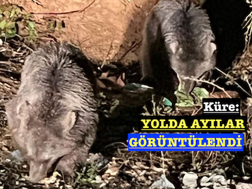 <center> Küre: </center><center><font color=’blue’> YOLDA AYILAR GÖRÜNTÜLENDİ </font></center>