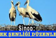 <center> Sinop: </center><center><font color=’blue’> LEYLEK ŞENLİĞİ DÜZENLENİYOR </font></center>