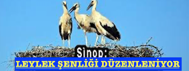 <center> Sinop: </center><center><font color=’blue’> LEYLEK ŞENLİĞİ DÜZENLENİYOR </font></center>