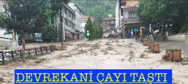 DEVREKANİ ÇAYI TAŞTI