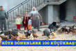 KÖYE DÖNENLERE 100 KÜÇÜKBAŞ!