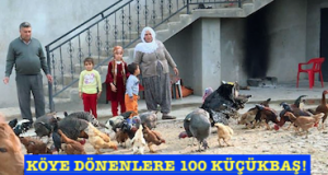 KÖYE DÖNENLERE 100 KÜÇÜKBAŞ!