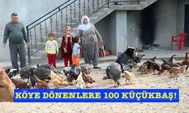 KÖYE DÖNENLERE 100 KÜÇÜKBAŞ!