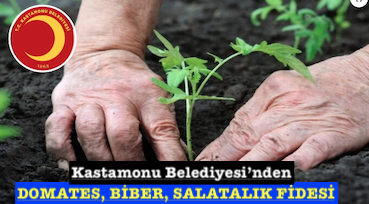 <center> Kastamonu Belediyesi’nden </center><center><font color=’blue’> DOMATES, BİBER, SALATALIK FİDESİ </font></center>