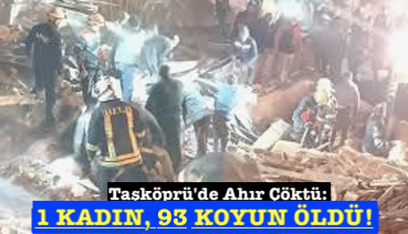 <center> Taşköprü’de Ahır Çöktü: </center><center><font color=’blue’>1 KADIN, 93 KOYUN ÖLDÜ! </font></center>