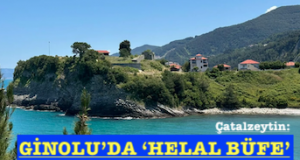 <center> Çatalzeytin: </center><center><font color=’blue’> GİNOLU’DA ‘HELAL BÜFE’ </font></center>