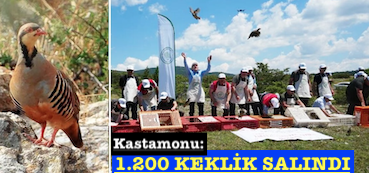 <center> Kastamonu: </center><center><font color=’blue’>1.200 KEKLİK SALINDI </font></center>