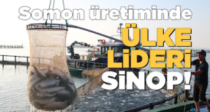 <center> Somon Üretiminde </center><center><font color=’blue’> ÜLKE LİDERİ SİNOP! </font></center>